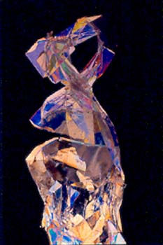 polorize2