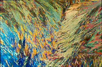 polorize3