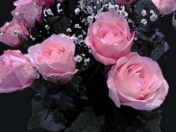 roses4b